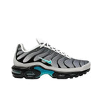 Nike Air Max Plus 'One Block Down Matte Silver'