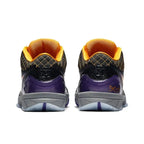 Nike Kobe 4 Protro Carpe Diem