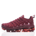 Nike Wmns Air VaporMax Plus 'Cedar Burgundy'