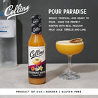 Passionfruit Martini Cocktail Mix, 12.7 oz