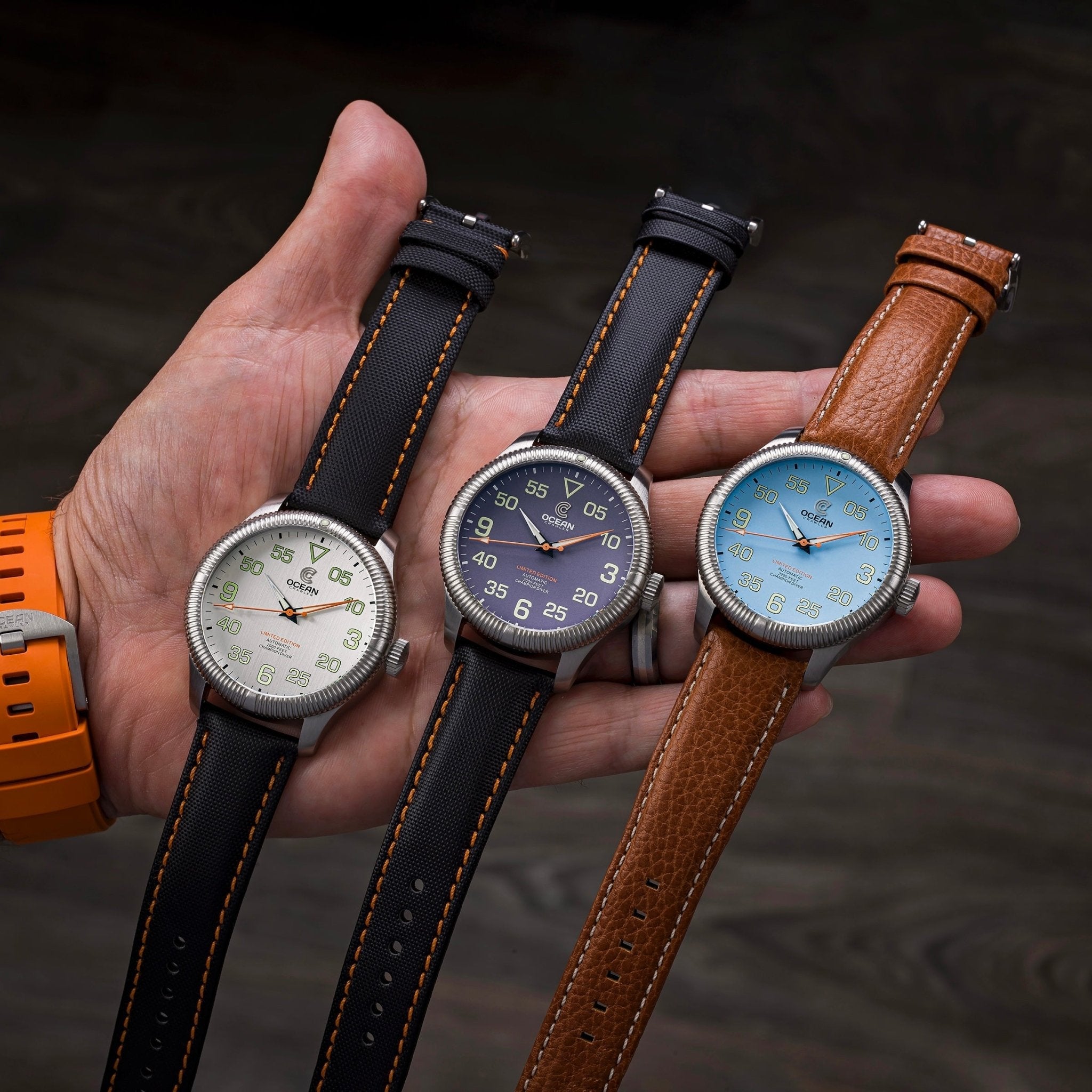 Champion Diver - Limited Edition - Submarine Silver