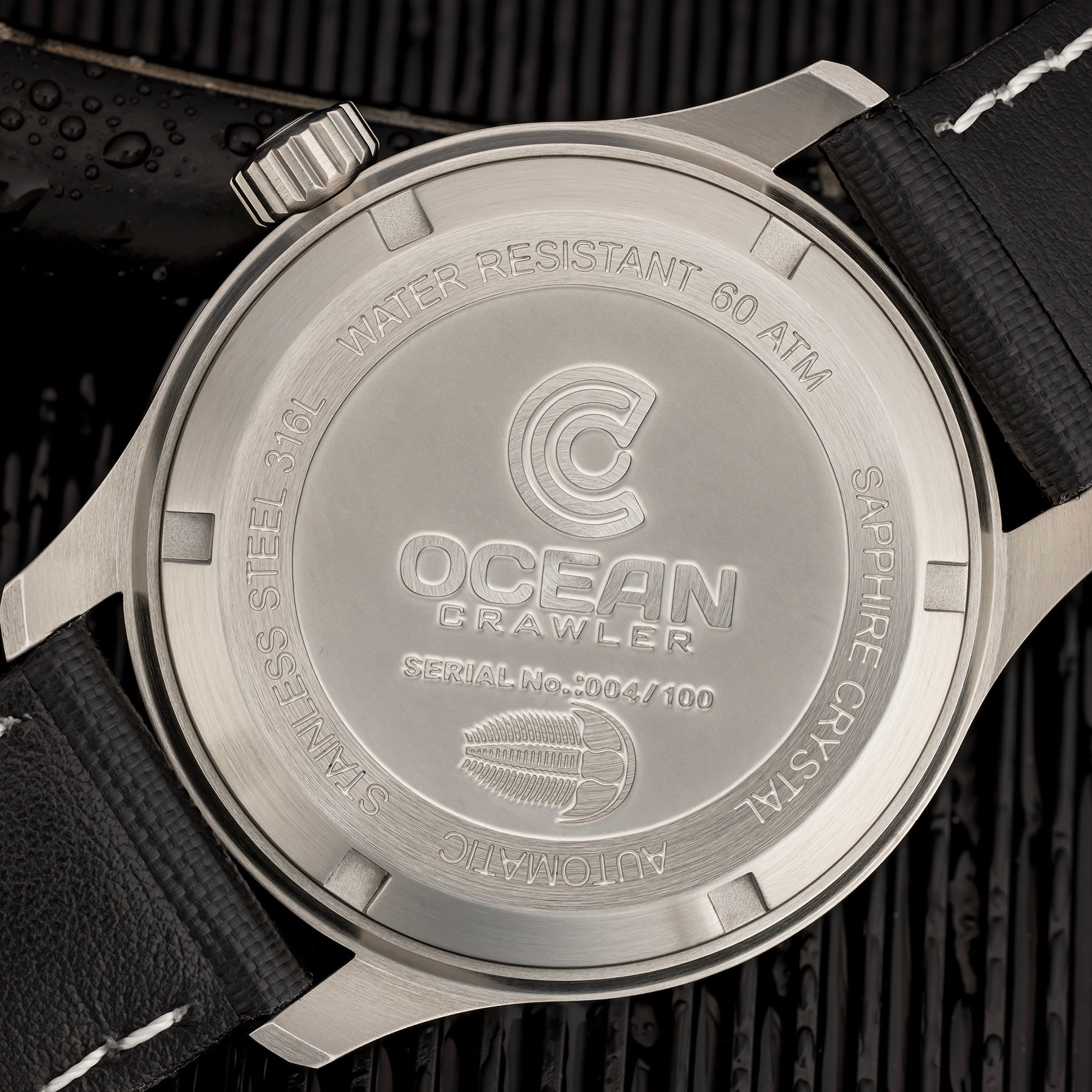 Dream Diver 2025 - Coastal Frost White