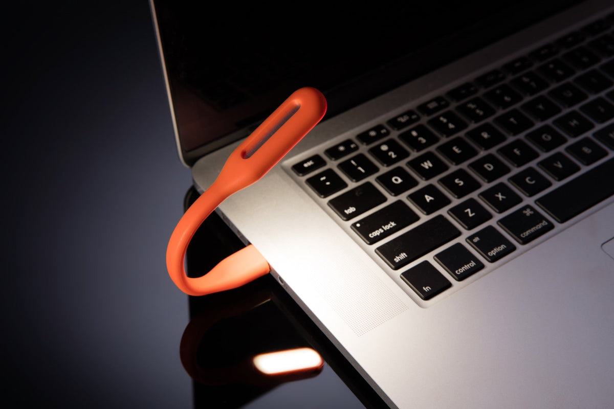 LED Laptop & Reading Light