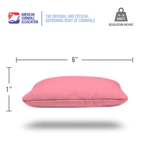 Pink Daily 66x Cornhole Bags