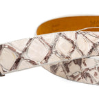 Olivieri Belt Newspaper
