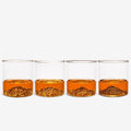 PNW Tumbler Set of 4