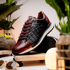 Portici Wine / Black