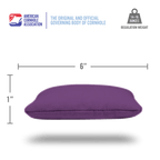 Purple Daily 66x Cornhole Bags
