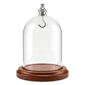 Pocket Watch Glass Display Dome Cloche Silver Knob & Hook Walnut Stained Base 3"x4"