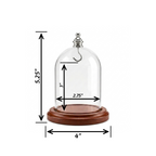 Pocket Watch Glass Display Dome Cloche Real Walnut Wood Base & Silver Hook 3"x4"