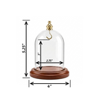 Pocket Watch Glass Display Dome Cloche Gold Knob & Hook Walnut Stained Base 3"x4"