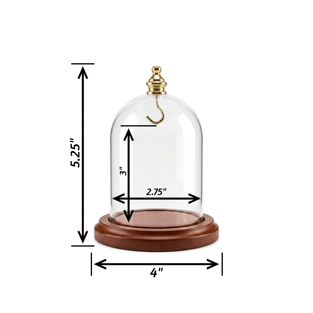 Pocket Watch Glass Display Dome Cloche Gold Knob & Hook Walnut Stained Base 3"x4"