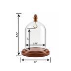 Pocket Watch Glass Display Dome Cloche Real Walnut Wood Base & Silver Hook 3"x4"