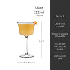 Raye Angled Crystal Sour Glasses Set of 2
