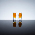 Raye Heavy Base Crystal Shot Glasses Set of 2