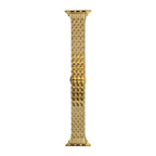 Crystal Steel Strap