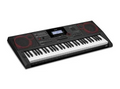 Casio 61-Key Digital Piano Keyboard With Dual Pedals