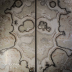 Sahara Onyx Wall Panels (Exotic #1)