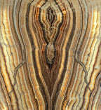 Sahara Onyx Wall Panels (Set #2 Out Of 3) Exotic