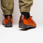 Saulo Brandy / Brown