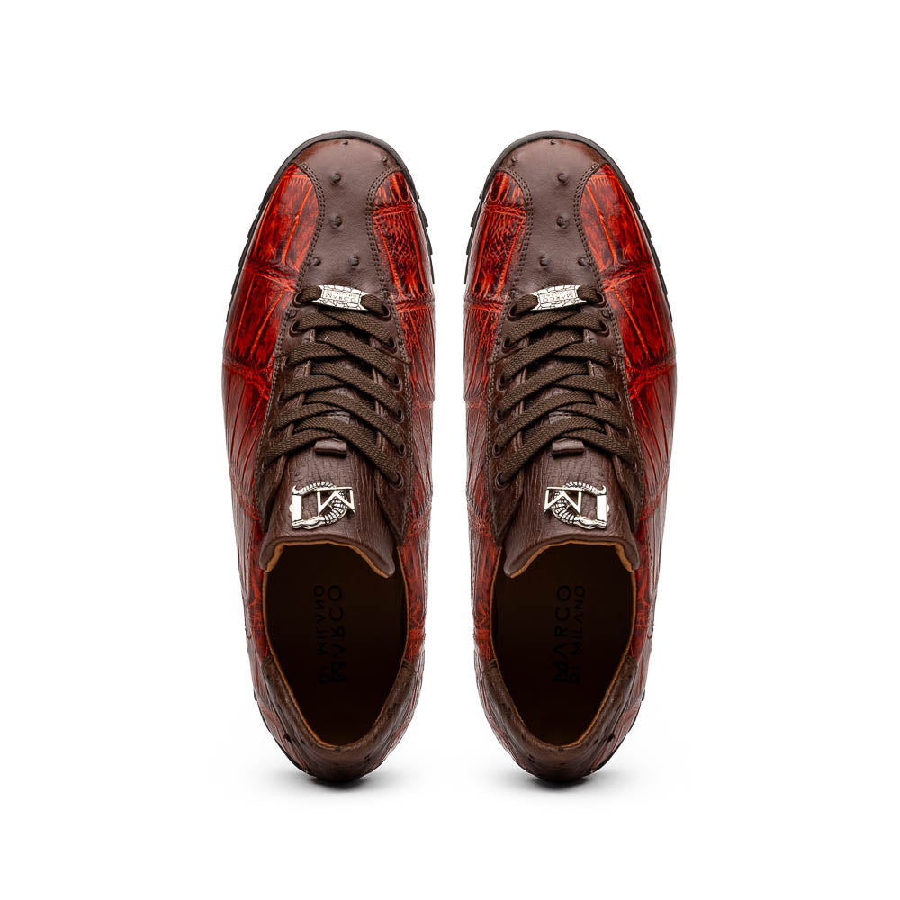 Saulo Cognac