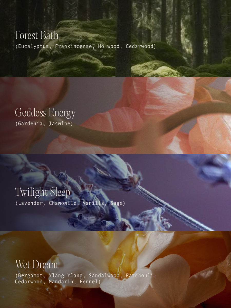 The Scent Discovery Set