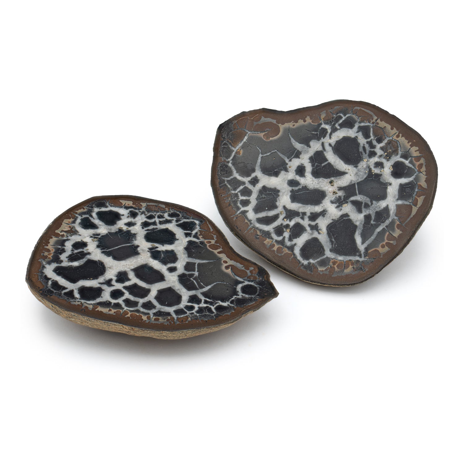 Septarian Nodules