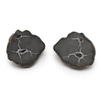 Septarian Nodules