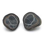 Septarian Nodules