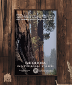 Sequoia National Park