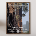 Sequoia National Park