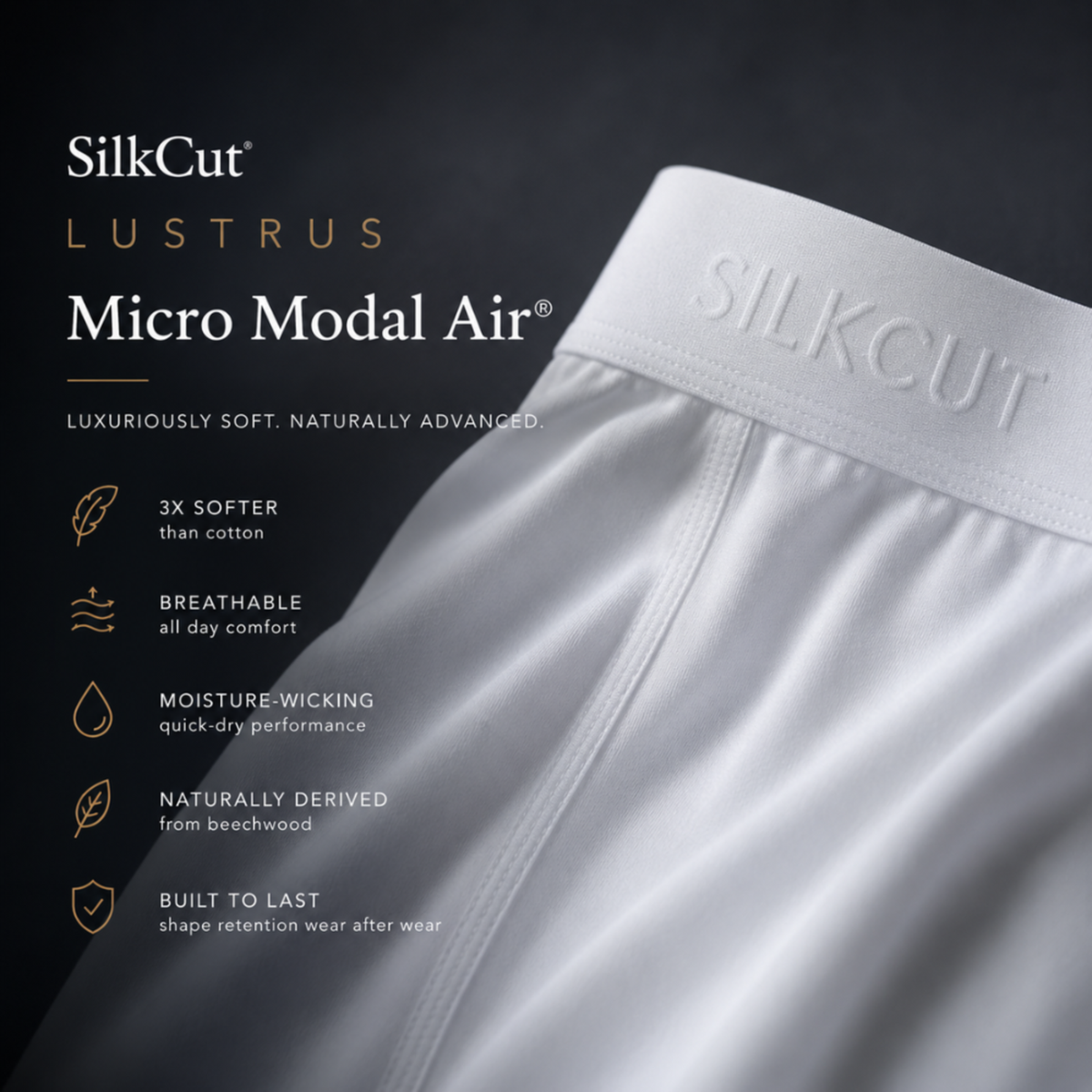SilkCut Micro Modal Boxer Briefs - 3 Pack
