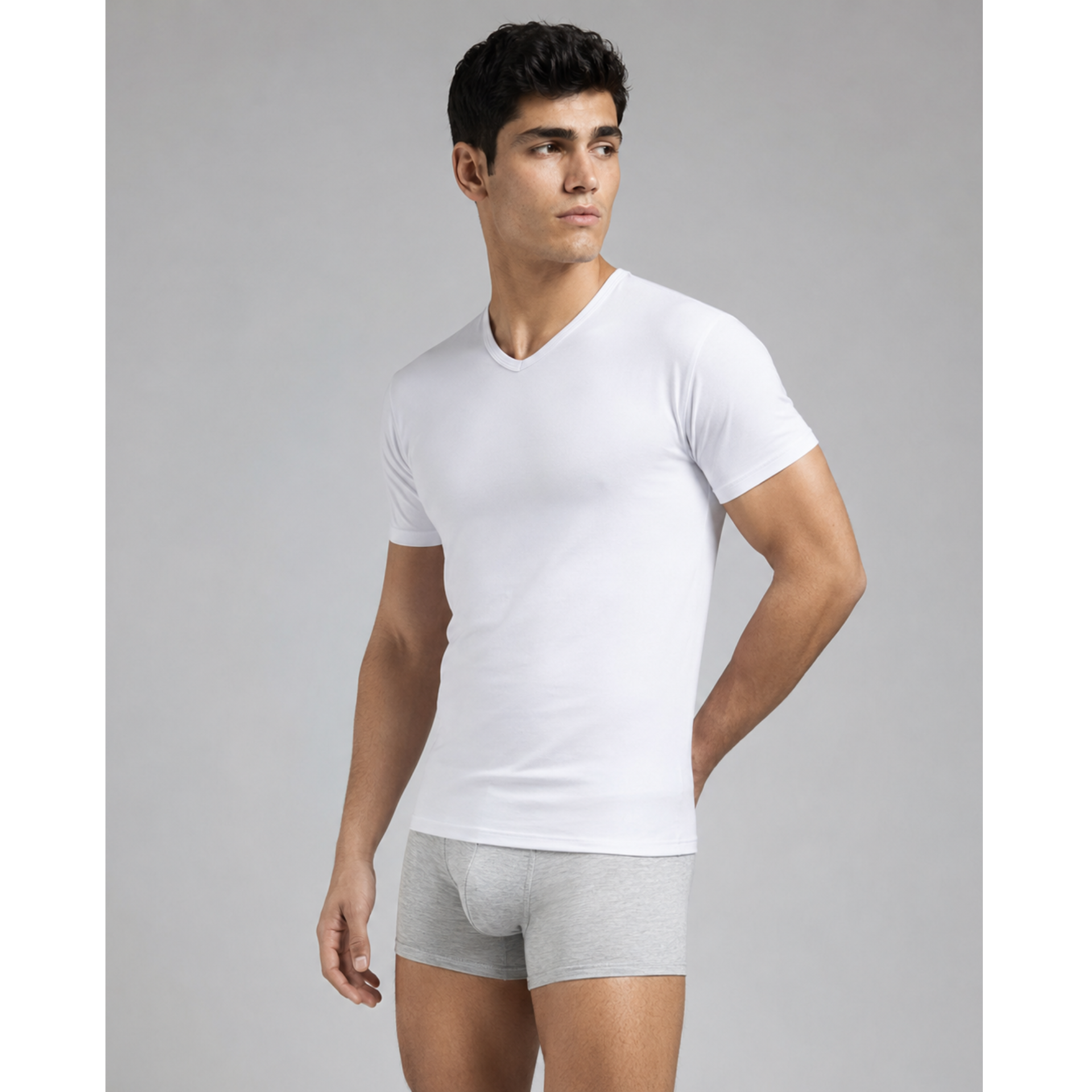 SilkCut Micro Modal V Neck Undershirt