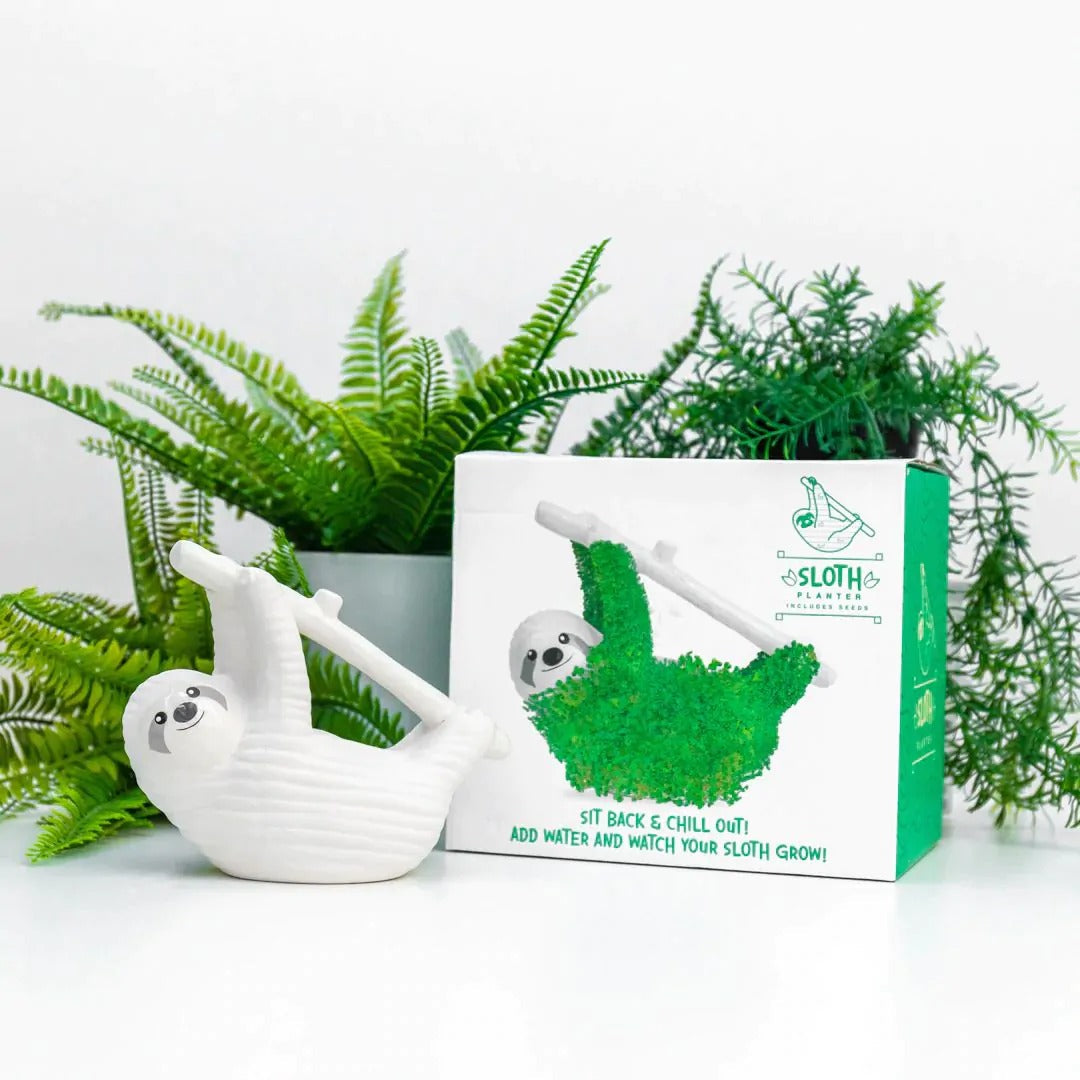 Sloth Ceramic Planter - Desktop Sprouting Chia Pet Plant Pot - Gift Republic