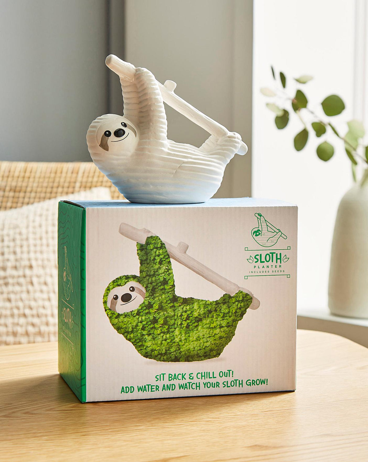 Sloth Ceramic Planter - Desktop Sprouting Chia Pet Plant Pot - Gift Republic