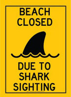Metal Tin Sign "Beach Closed: Due to Shark Sighting"  Beach Jaws Decor #B-101