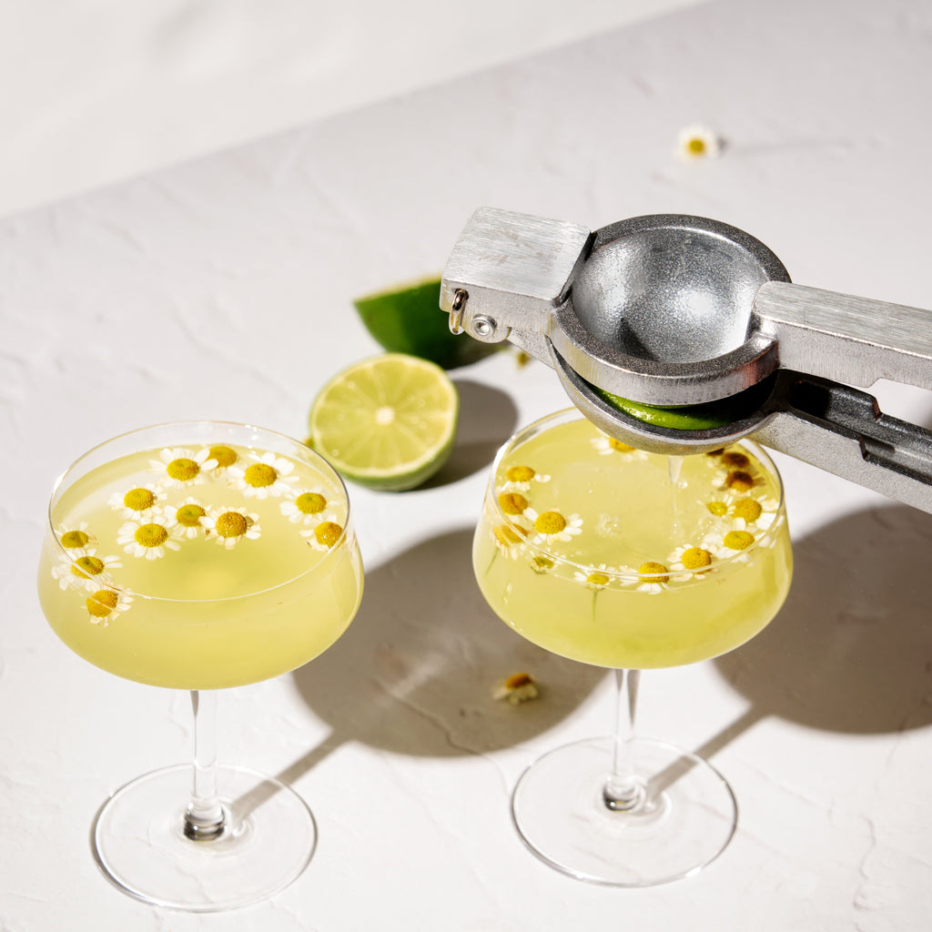 Professional Aluminum Citrus Juicer