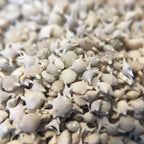 Japanese Star Sand