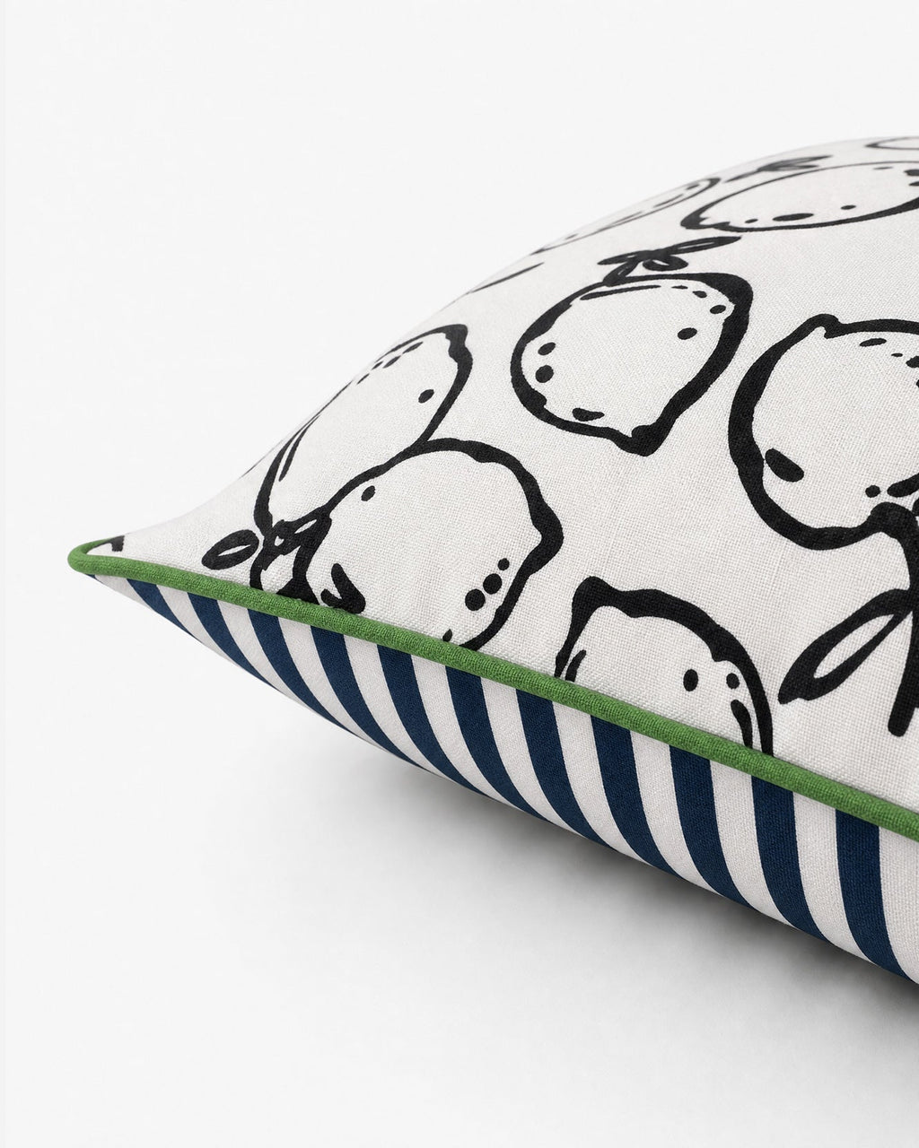Lemone Outdoor Throw Pillow