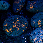 Shining Syenite - UV Glow Rocks