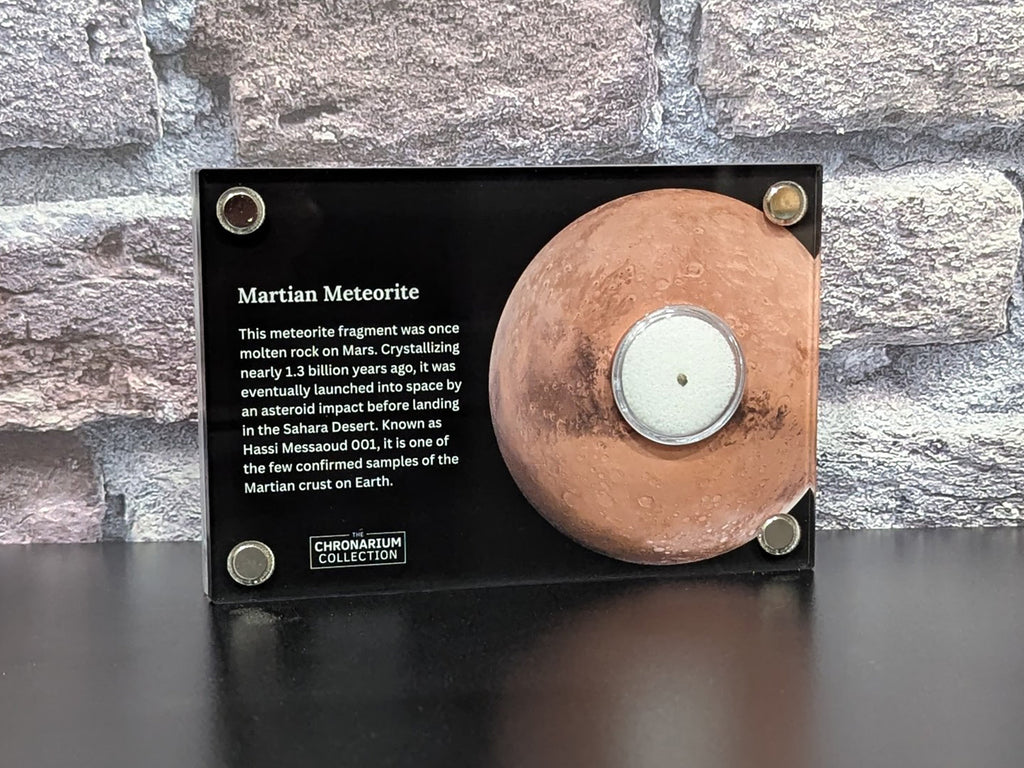 Martian Meteorite
