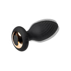 The Spin Rotating Anal Plug