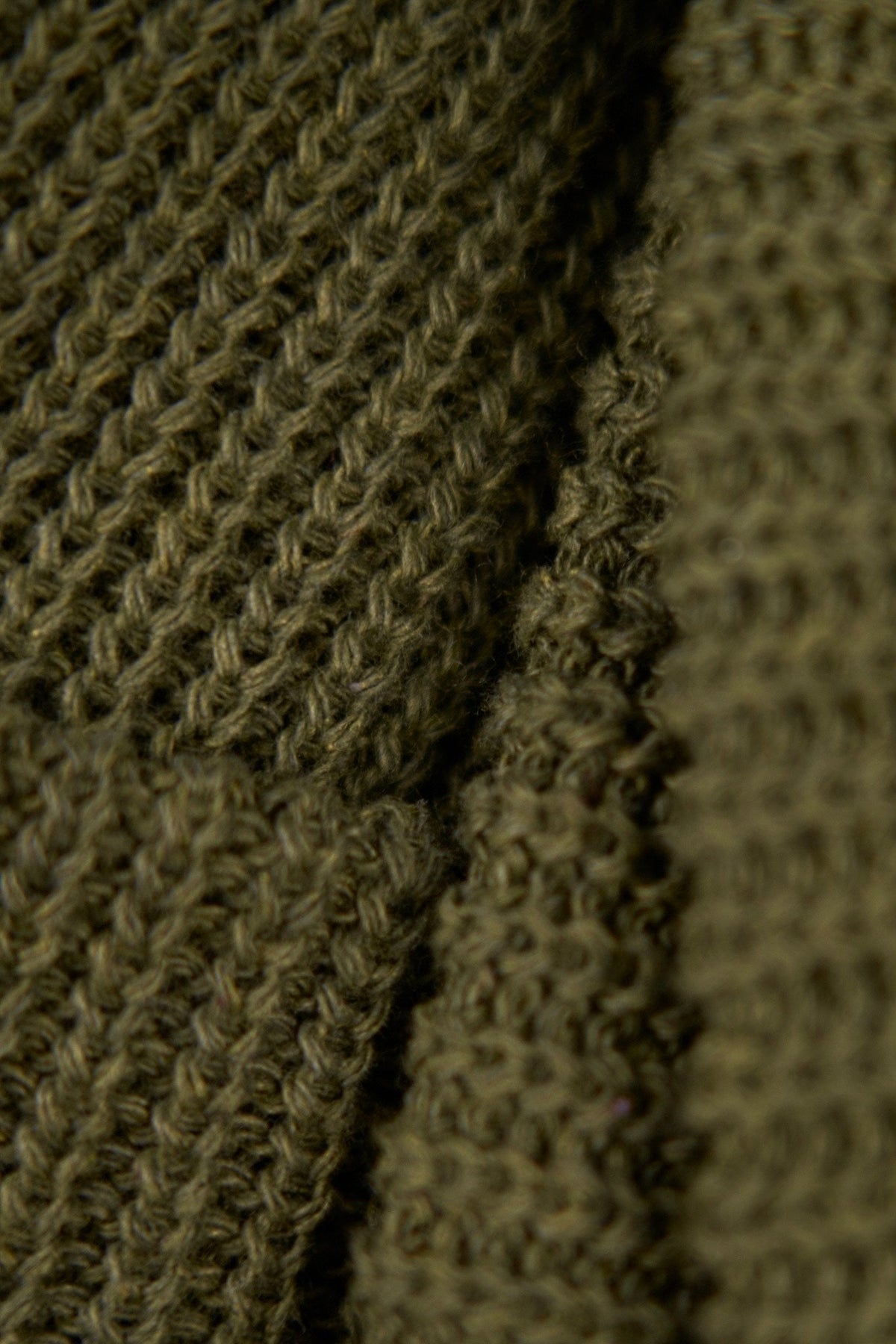 Thicket Green Upcycled Cotton Watchcap