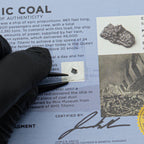 Titanic Coal - Display Card