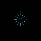 Ti Field Watch / Automatic / Black