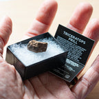 Terrific Triceratops Frill Pocket Fossil