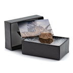 Terrific Triceratops Frill Pocket Fossil