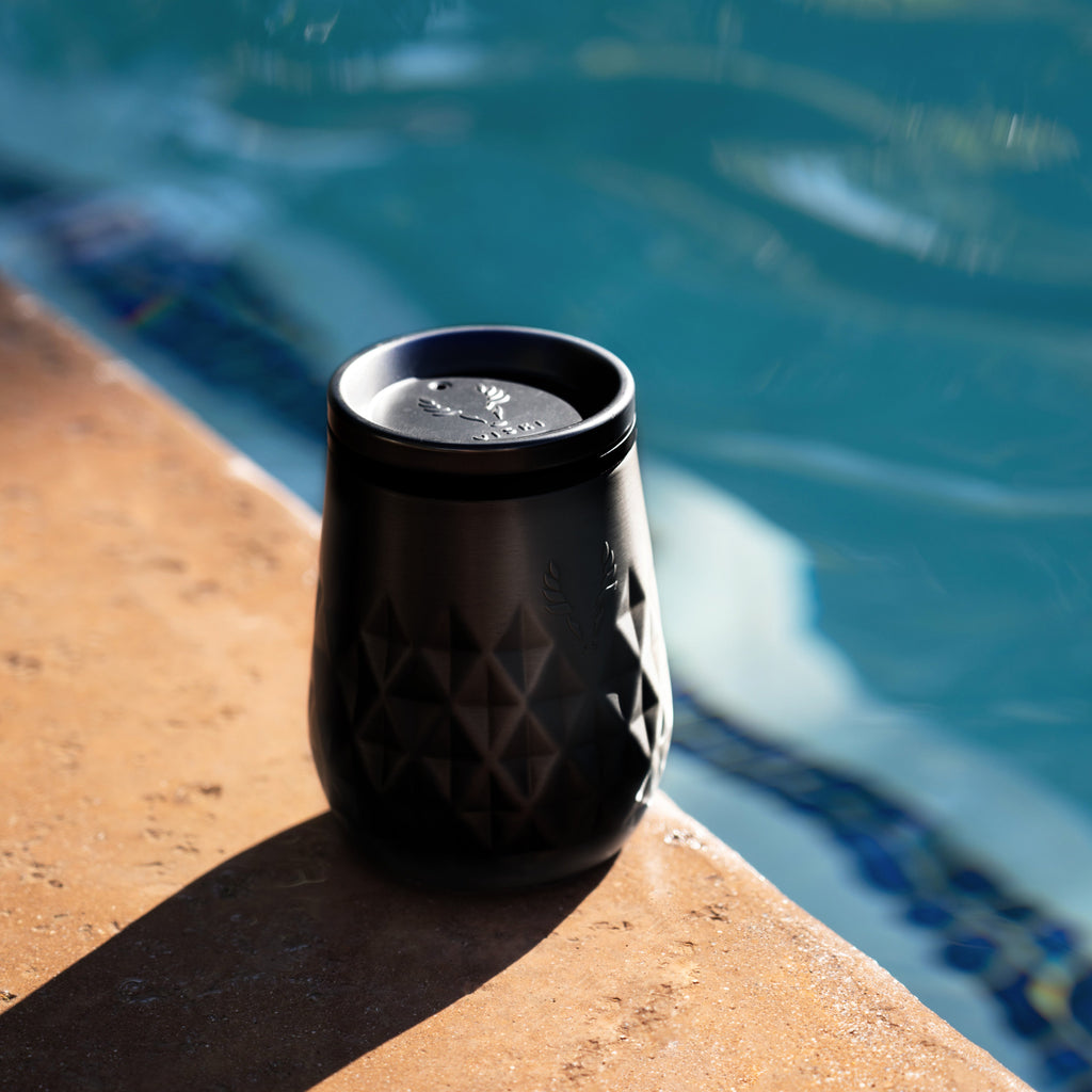 Paragon Stainless Steel Wine Tumbler in Obsidian