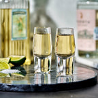 Raye Heavy Base Crystal Shot Glasses Set of 2
