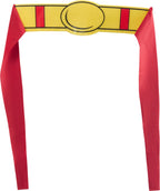 DC Comics Superheros Superman Pet Costume